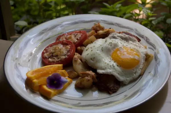 Stonehurst Place Bed & Breakfast 4